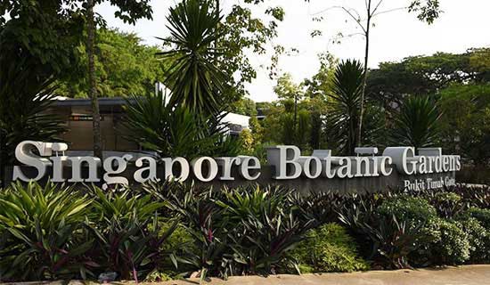 Vườn bách thảo Singapore Top 7 địa điểm chụp hình tuyệt vời